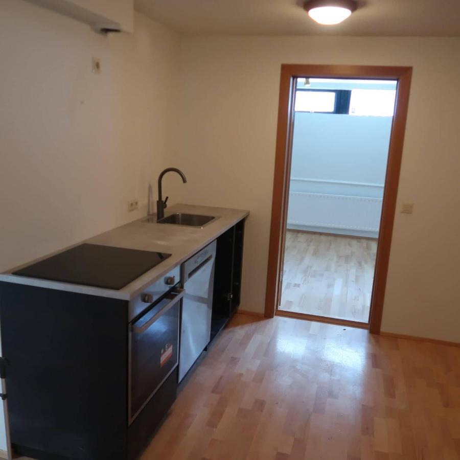 Large Apartment Close To The Centre Reykjavík Dış mekan fotoğraf
