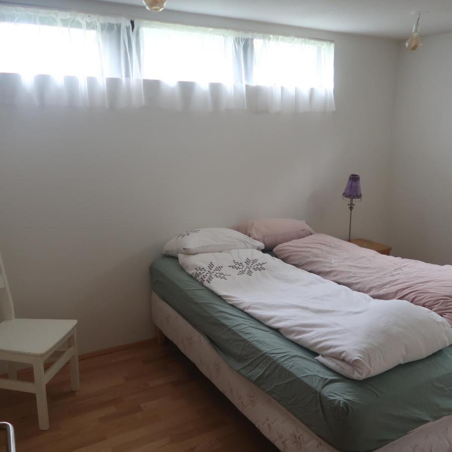 Large Apartment Close To The Centre Reykjavík Dış mekan fotoğraf
