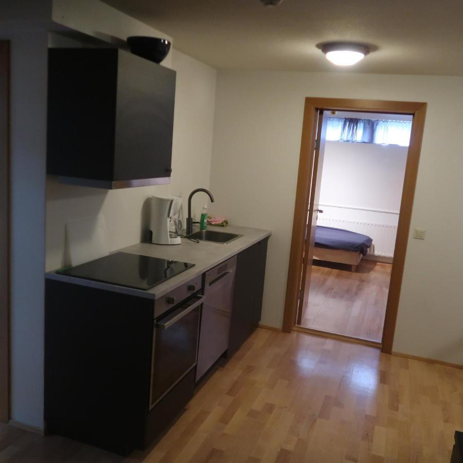 Large Apartment Close To The Centre Reykjavík Dış mekan fotoğraf